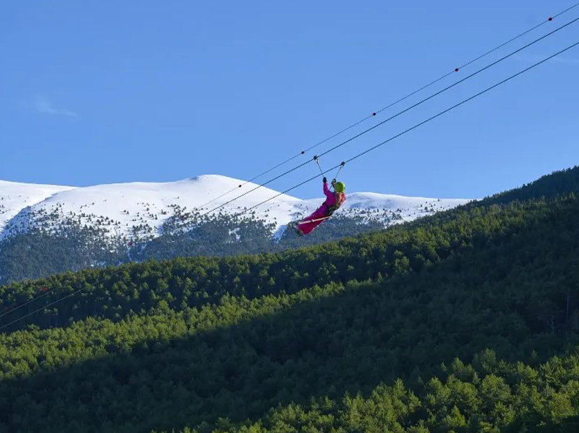 Zipline Dalhousie 